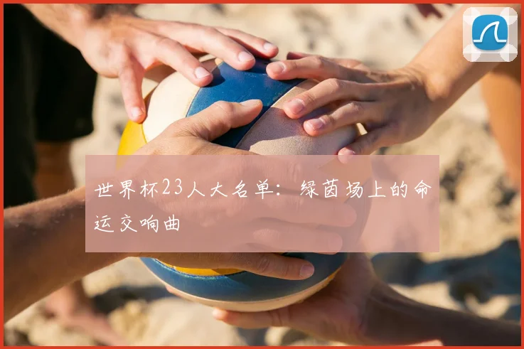 世界杯23人大名单:绿茵场上的命运交响曲