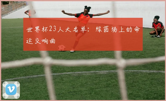 世界杯23人大名单:绿茵场上的命运交响曲