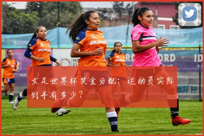 女足世界杯奖金分配:运动员实际到手有多少?