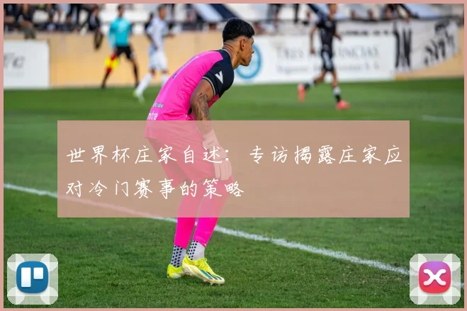 世界杯庄家自述:专访揭露庄家应对冷门赛事的策略